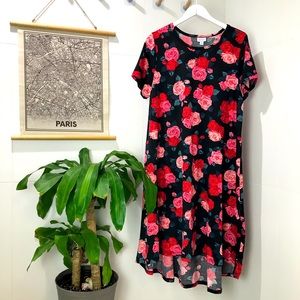 Lularoe Carly Dress
